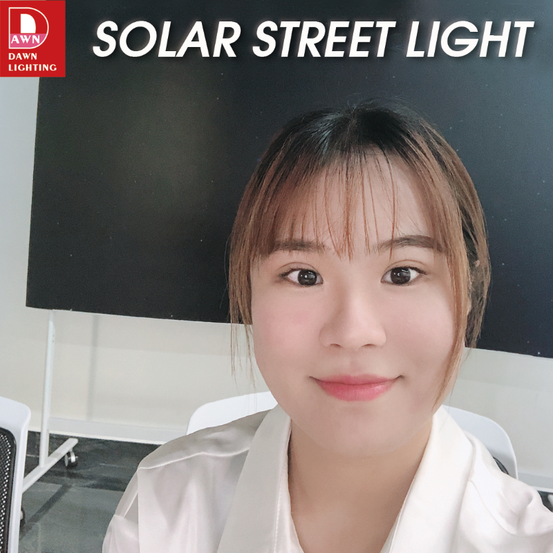 Solar Fence Light Outdoor with IP65 Waterproof and Aluminum Wall Lamp Design